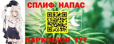 мет Дубна