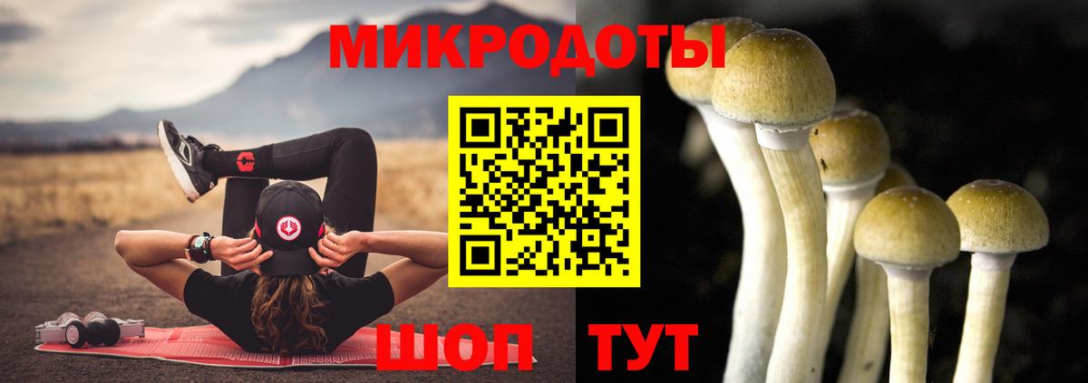 Галлюциногенные грибы мицелий  Псилоцибиновые грибы Magic Shrooms  Вход с VPN  Ефремов 